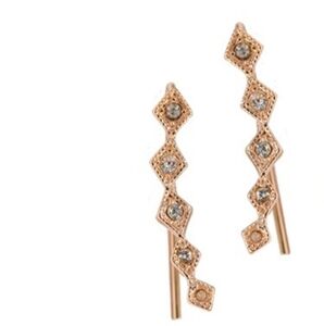 Rose Gold Climber Earrings By LUV AJ